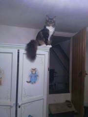 Cancer support thread 90 - still the best threads no one wants to be on