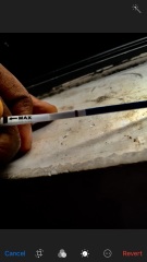 Faint test