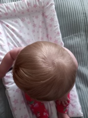 Flat head 8 months old pics attached