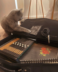 Thread 10 - TalkLair: “The candle flame gutters. Its little pool of light trembles.”