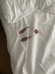 To think holiday cottage company is taking the p**s