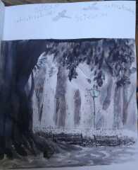 Thread 48- Covid GCSE Cohort - Summer before Year 2 Uni