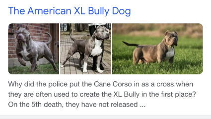 To think this just sums up XL Bully owners?