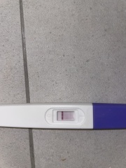 Implantation Bleed?