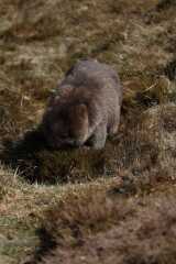 Cancer Support Thread 89 - the best thread that no one wants to be on.