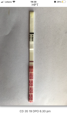 2023 TTC 35+ Part 4