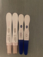 Due June 24?