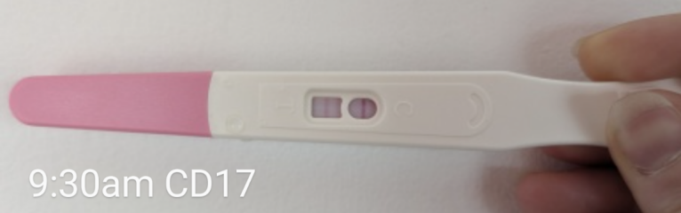 Show me your ovulation progression lines!