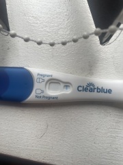 Clear blue test. Evap line or positive