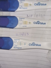 Pregnancy after chemical and line progression