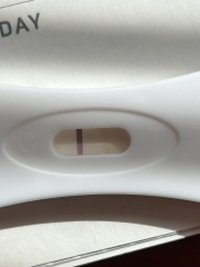 Positive or evaps? (Easy@home)