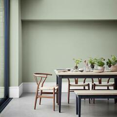 Olive/warm green paint