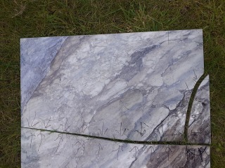 Porcelain Superstore - have you used them? 