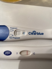 11dp5dt faint line and ClearBlue 1-2 
