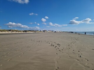 The Saxenda Sisterhood 