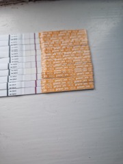 Help please, could this be a new pregnancy or left over HCG?