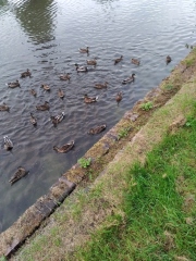 Come and tell me your dull and unexciting news 26: Calmly through the day 