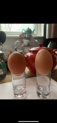 Double Yolkers