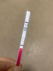 Pregnancy tests