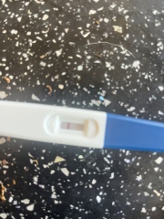 Cryptic pregnancy, positive test at 5 months