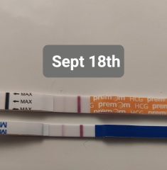 Pregnancy after MC