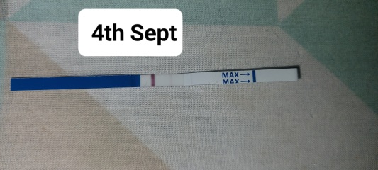 Pregnancy after MC