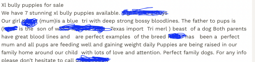 Bull breeds 'Nanny Dog' myth