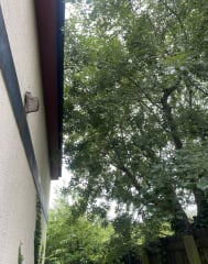 Complaint to council ...anything I can do?