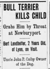 Bull breeds 'Nanny Dog' myth