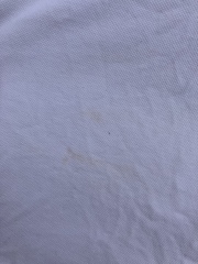 Stain remover for white clothes?