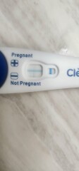 Clear blue test. Evap line or positive