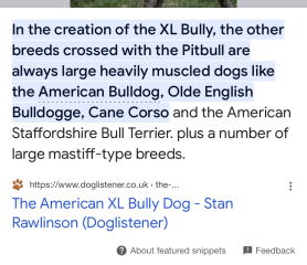 To think this just sums up XL Bully owners?