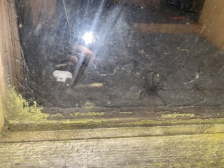 Thread 9 - TalkLair: “Russell's teapot goes on being round”