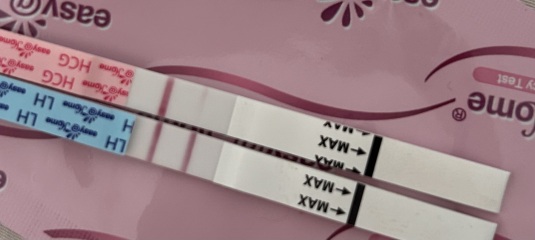 4dpo any one? Tww