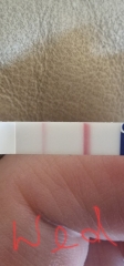 10dpo test line