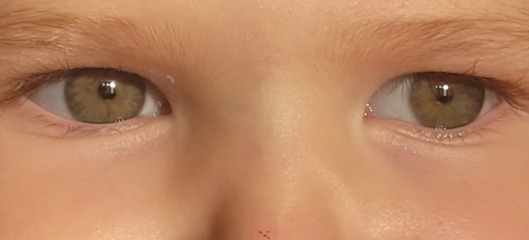 What colour would you say these eyes are?