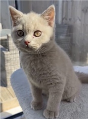A new arrival