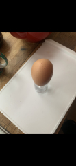 Double Yolkers