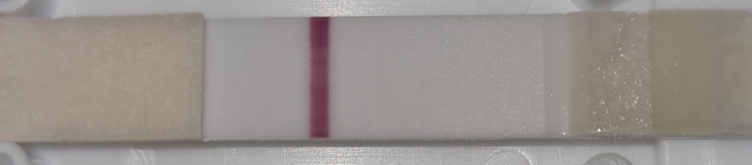 How reliable are hcg tests on day of expected period