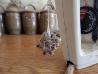 Thread 9 - TalkLair: “Russell's teapot goes on being round”