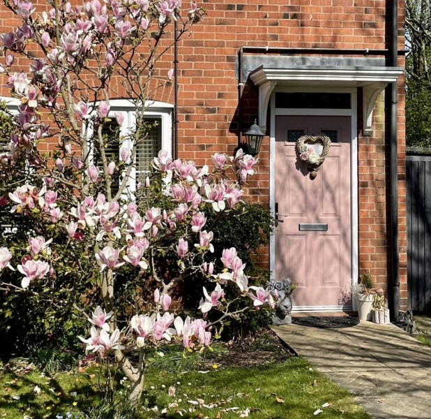 Can I see you pale pink front doors ?