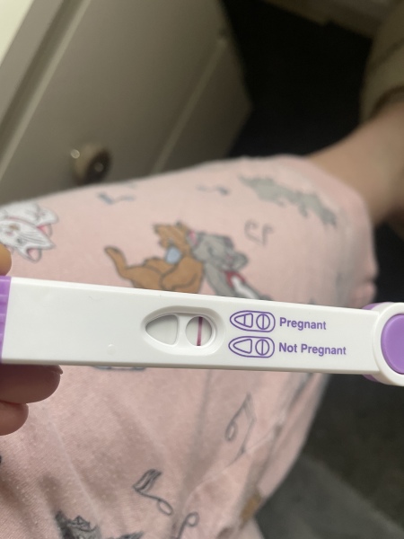 Am I Pregnant?
