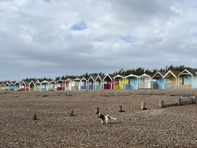 I'm having a weekend at the seaside ALL BY MYSELF!