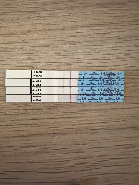 We’re ‘old schooling’ it up! Ovulation test sticks…