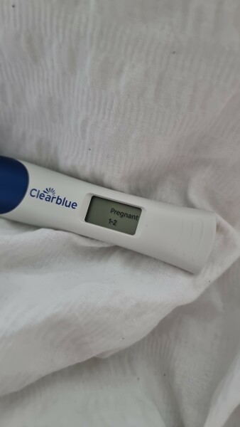 First vue pregnancy test poundland