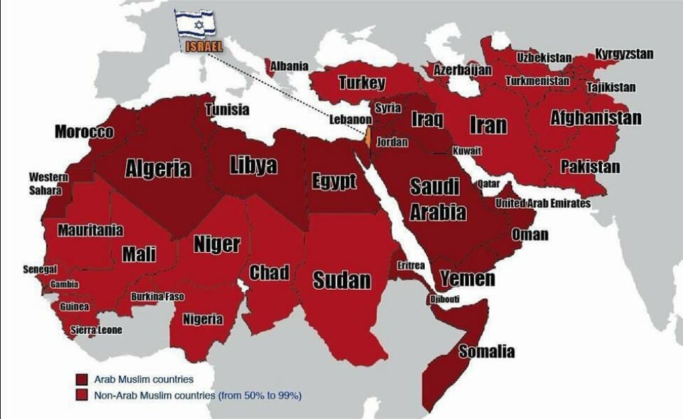 If you are anti-Zionist, what do you think Israel should do?