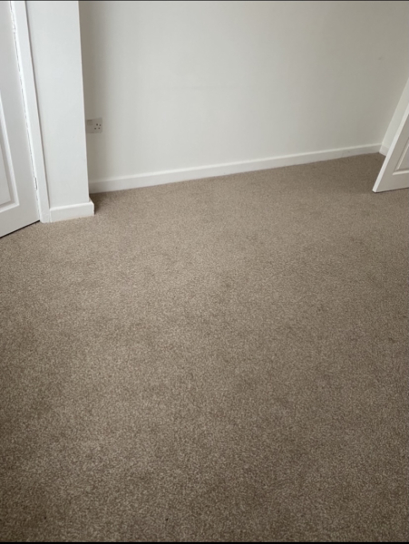 Is there any chance of a single woman getting a 2 bed housing association house ?