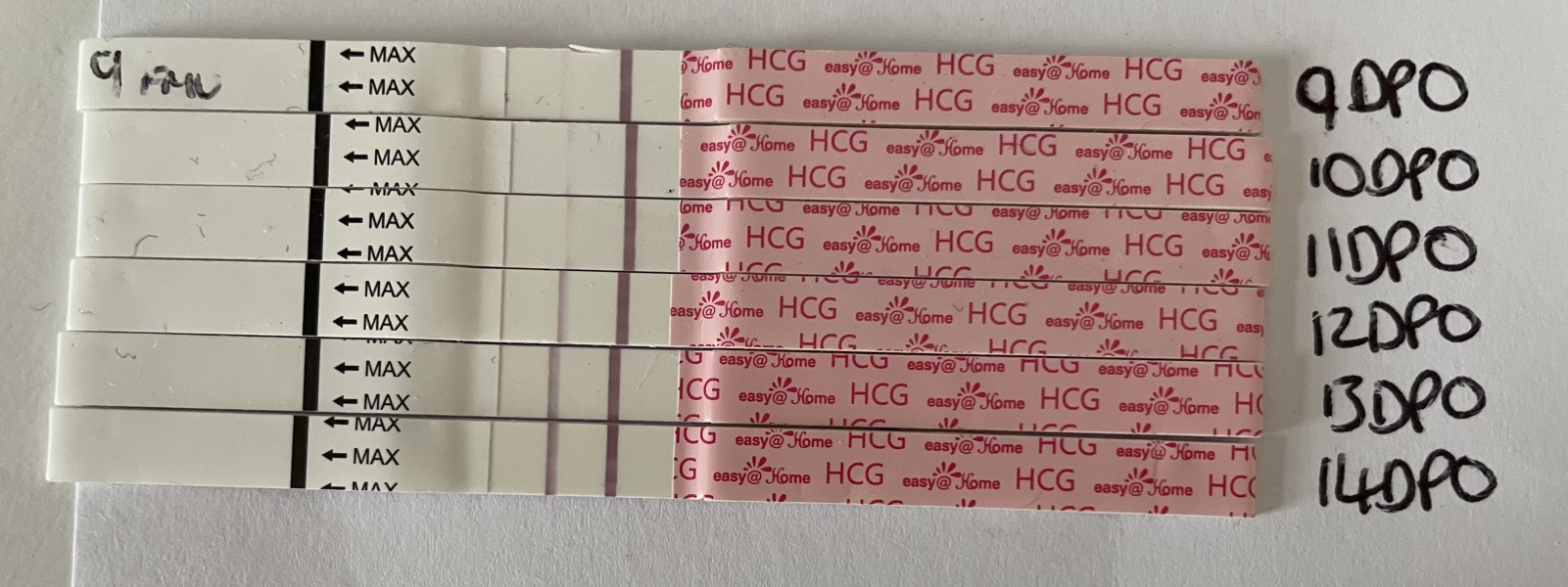 Chemical pregnancy