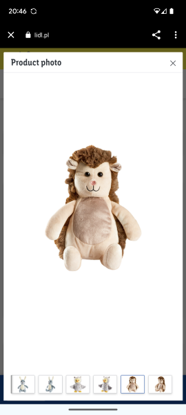 Lost Teddy, help needed