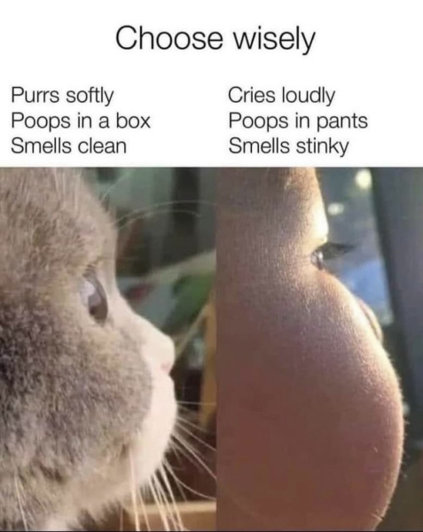 Worst comment you've had as a child free woman